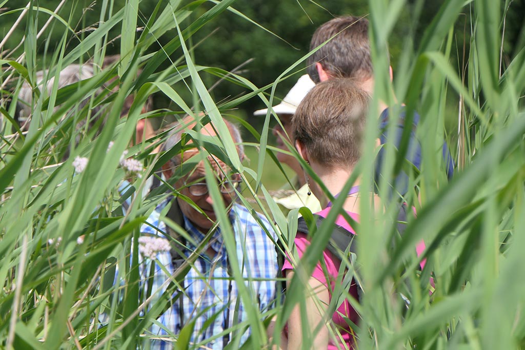 Plantenwerkgroep