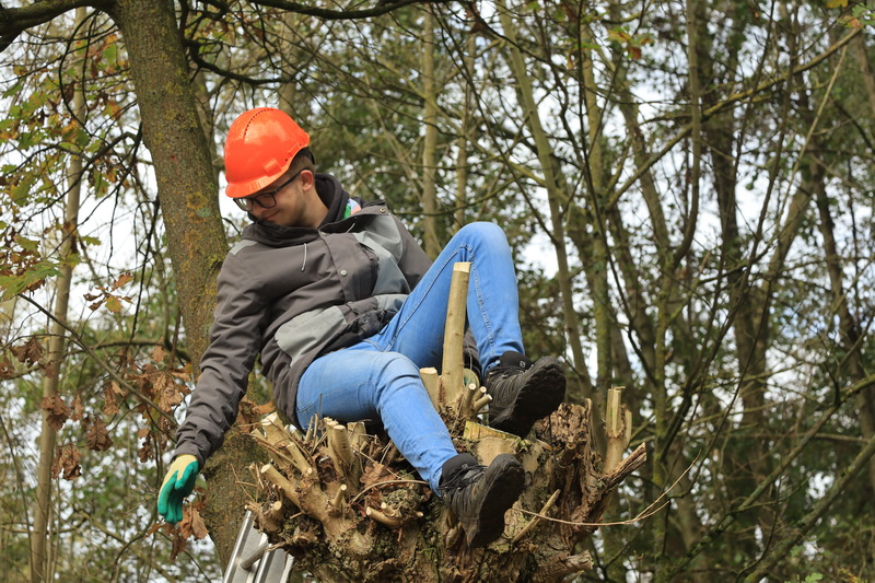 Knotgroep