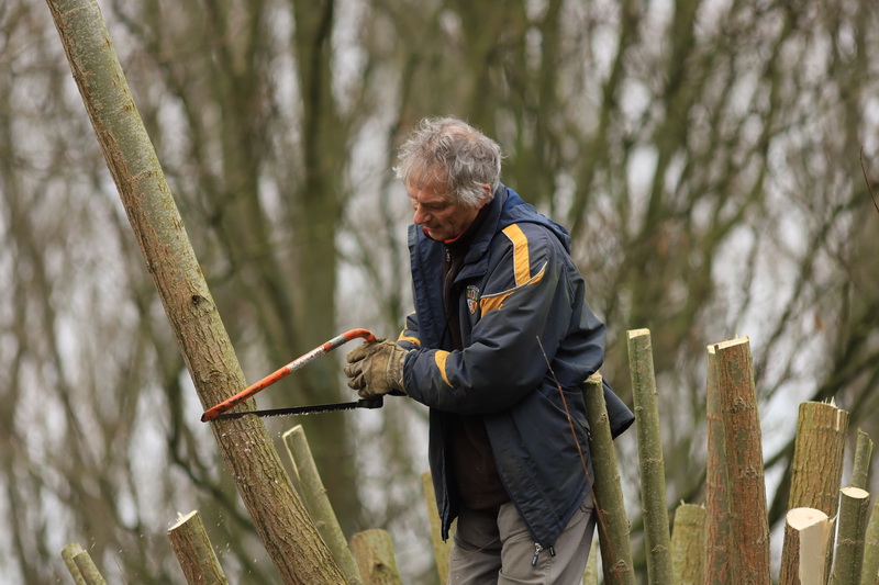 Knotgroep
