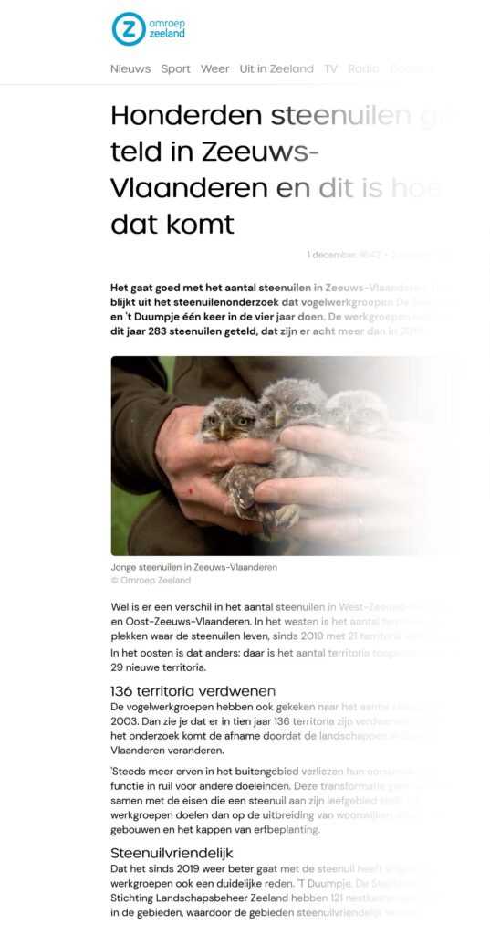Omroep Zeeland bericht over telling steenuilen