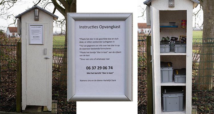 Opvangplek voor vogels en kleine zoogdieren in Zeeuws-Vlaanderen